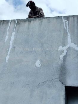 Wall Painting 