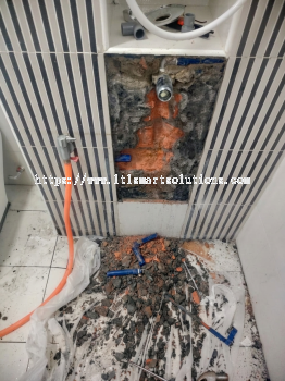 Ceilling Painting