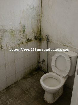 Toilet Leak Repair