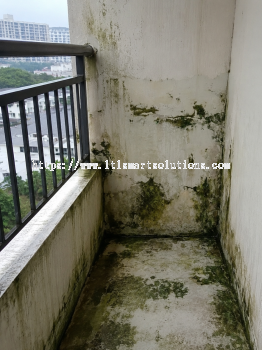 Balcony Leak Repair
