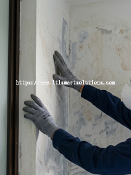 Wall Seepage Repair