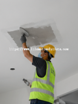 Ceiling Repair