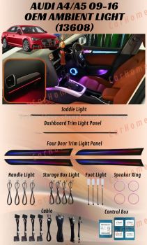 Audi A4 OEM AMBIENT LIGHT 