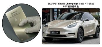 PET Liquid Champaign Gold