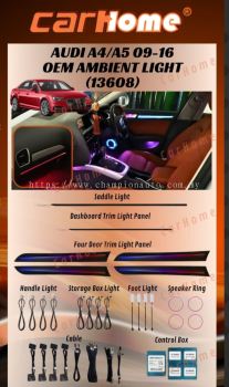 AUDI A4 Ambient Light 