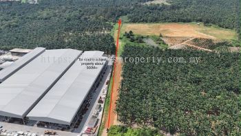 Jalan Ulu Pulai Agriculture land For Sale