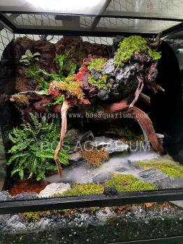 Exoterra Pro Paludarium 60x45x60cm