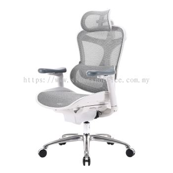 C100 Ergonomic Office Chair