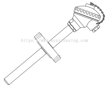 TE30-TC-04 Series: Thermocouple Sensor Assembly with Flanged Connection and Protection Tube and Extension