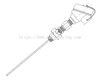 Type 2010 WT (NUN/HEAD) Series: Explosion-Proof Temperature Sensor with Terminal Head, Welded Type