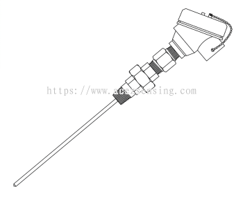 Type 2010 SLT (NUN/HEAD) Series: Explosion-Proof Temperature Sensor with Terminal Head, Spring Loaded Type