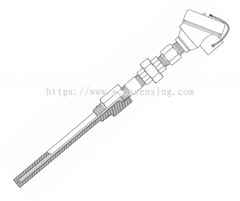 Type 2010 WT (NUN/TW512T-S1) Series: Explosion-Proof Temperature Sensor, Welded Type, with Threaded Straight Thermowell, with Nipple & Union