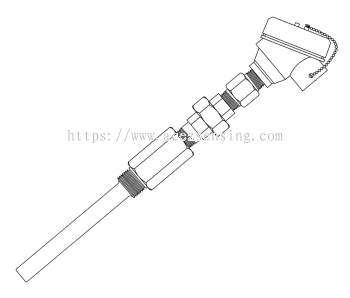 Type 2010 WT (NUN/TW512T-S2) Series: Explosion-Proof Temperature Sensor, Welded Type, with BSP Threaded Straight Thermowell, with Nipple & Union