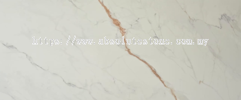 TS0004 Calacatta Oro (B)