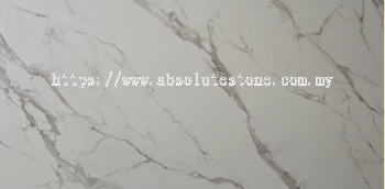 TS0011 - Statuario Venato (Matte)