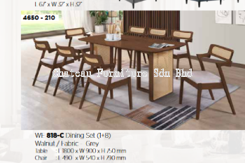 Wood Dining Table & Chair Set | WE818-C Dining Set (1+8)
