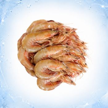 Frozen Udang Besar �䶳��Ϻ 1KG per PACK