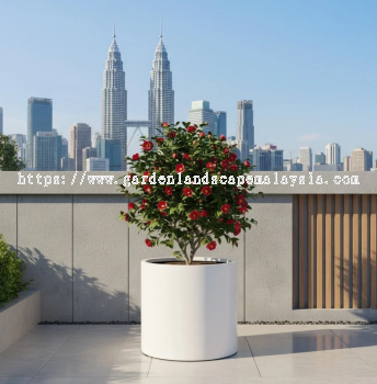 FRP Cylinder Planters Manufacturers Malaysia PC1247-17206 马来西亚玻璃钢圆柱形花盆制造商 Pengilang Penanam Silinder FRP Malaysia