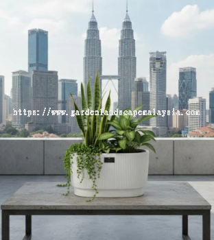 Small Ceramic Flower Pots   Cute & Stylish Planters for Plant