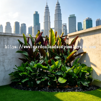 Residential Landscape Design Kuala Lumpur Malaysia 马来西亚吉隆坡住宅景观设计 Reka Bentuk Landskap Kediaman Kuala Lumpur Malaysia