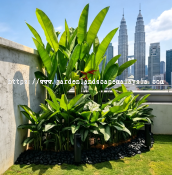 Tropical Garden Landscape Design Selangor 雪隆花园景观设计 Reka Bentuk Landskap Taman Tropika Kuala Lumpur