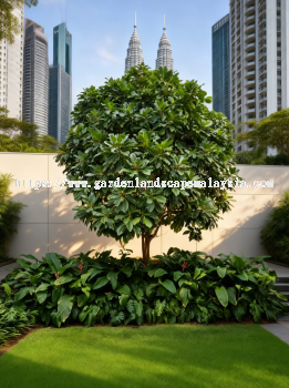 Garden Landscape Maintenance Kuala Lumpur 吉隆坡花园景观维护 Penyelenggaraan Landskap Taman Kuala Lumpur