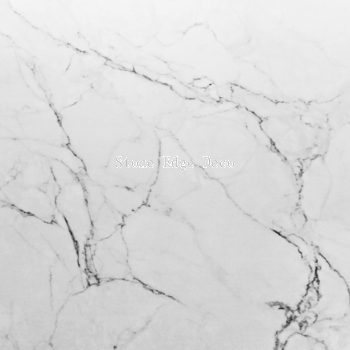 SP808 Bianco Neve   M
