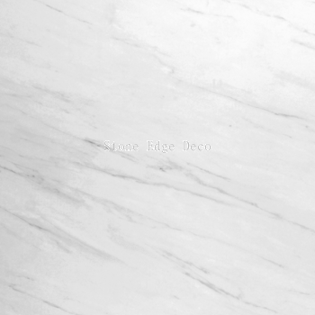 SP978 Statuario White   M