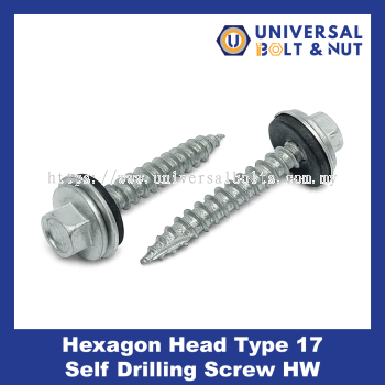 Hexagon Head Type 17 Self Drilling Screw HW