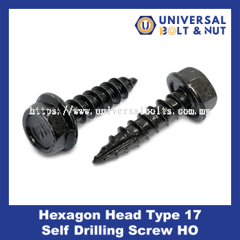 Hexagon Head Type 17 Self Drilling Screw HO