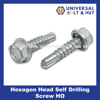 Hexagon Head Self Drilling Screw HO