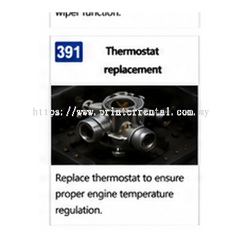 391 Thermostat Replacement