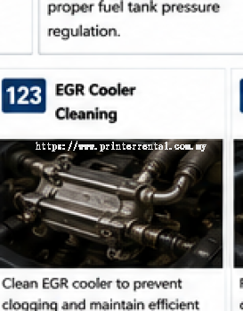 EGR Cooler Cleaning