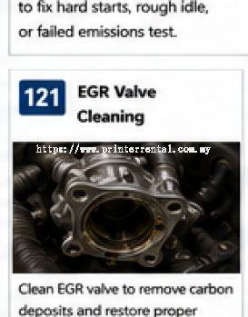 EGR Valve Cleaning