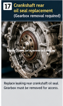Crankshaft Rear Oil Seal Replacement