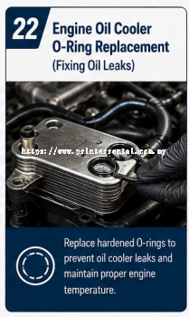 Engine Oil Cooler O Ring Replacement