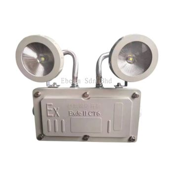 Mickey Mouse Emergency Light