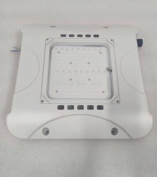 [ENSAFE] LED Canopy Light
