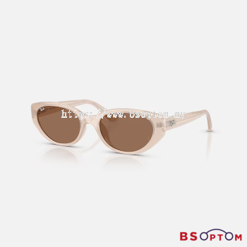 Ray-Ban 4457D 678673 55 Sunglasses