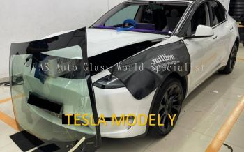TESLA