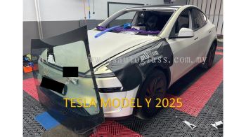 Tesla Model Y 2025