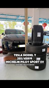 Michelin Pilot Sport EV 255/45 R19 Tyre for Tesla Model Y
