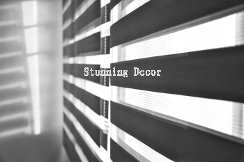 Zebra Blinds