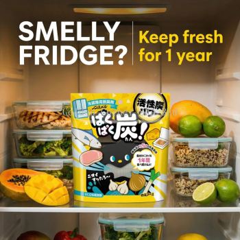 Hakugen Charcoal Fridge Deodorizer