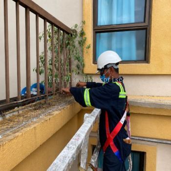 Bird Control