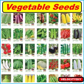 Ϲ߲ӣJC Garden Seed Vegetable Seed Gourd Seed Biji Benih