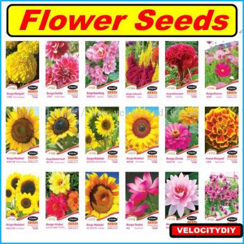 ӣJC Garden Seed Flower Seed Biji Benih