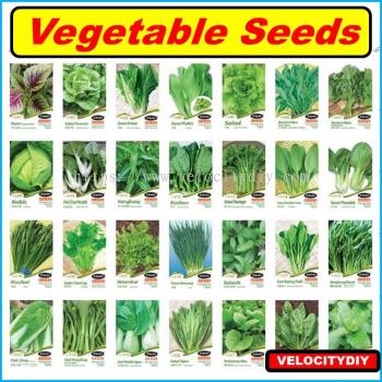 ӣJC Garden Seed Vegetable Seed Biji Benih