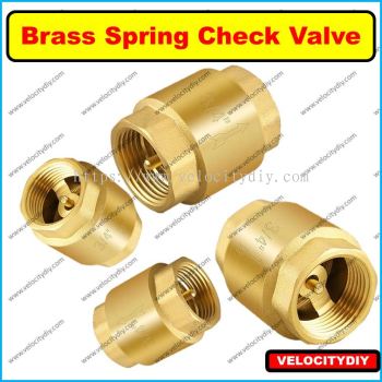 ֹطHeavy-Duty Brass Spring Check Valve