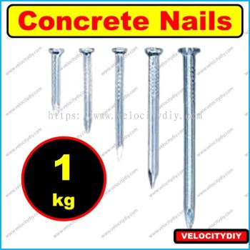 （白钢钉）Jaguar Concrete Nails Masonry Nails Paku Simen ±1kg